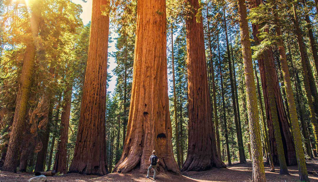 alt text: Một góc nhìn khác về cảnh quan thiên nhiên tại California