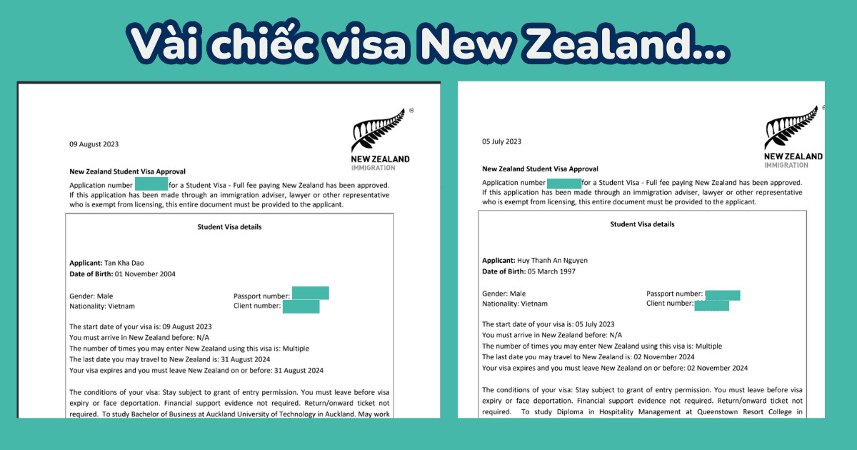Xin visa du học New Zealand có khó không? Hướng dẫn mới nhất dành cho bạn